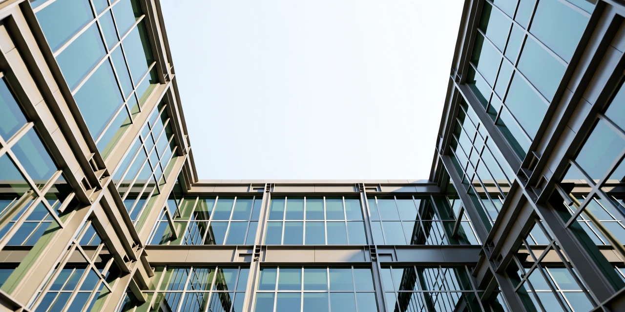 Professional Environment